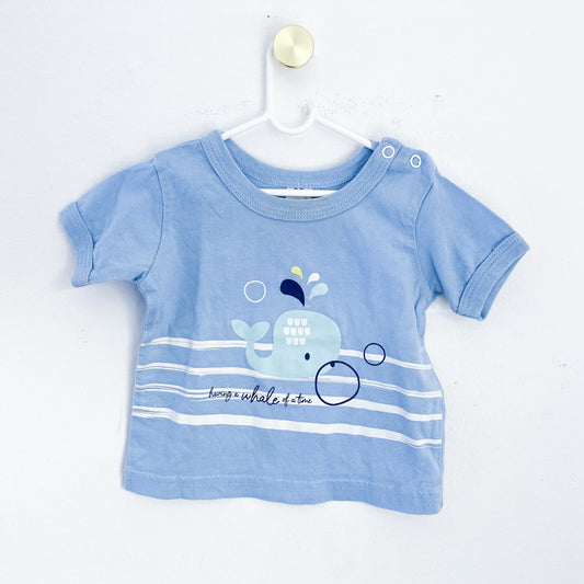 Pick n Pay - Top - 3-6 months