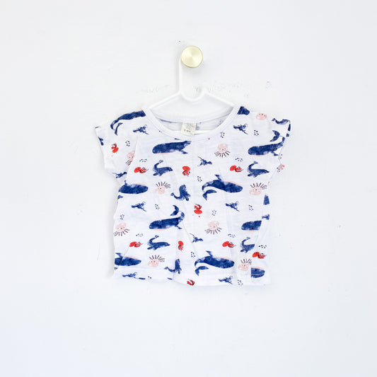 Pick N Pay - Top - 3-6 Months