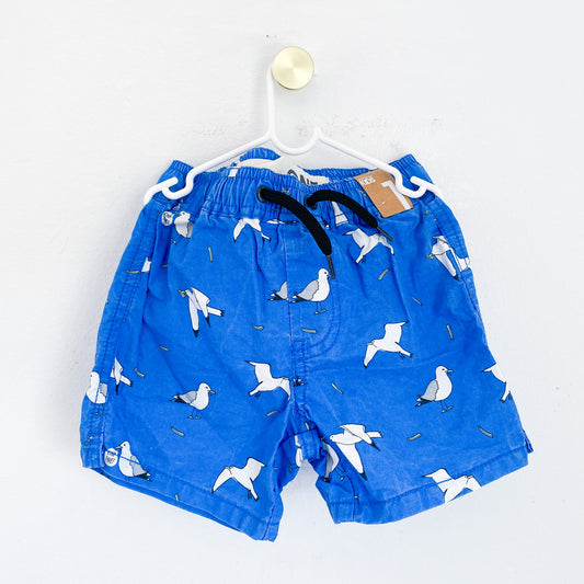 Cotton On - Shorts - 1 Year